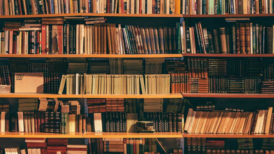 The Hidden Gems of Spanish and Latin American Literature